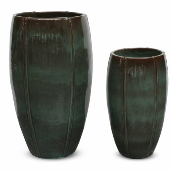 HORTENZIA RAIN GREEN