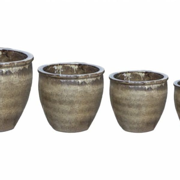 PALMA EXTRA TIGER SKIN