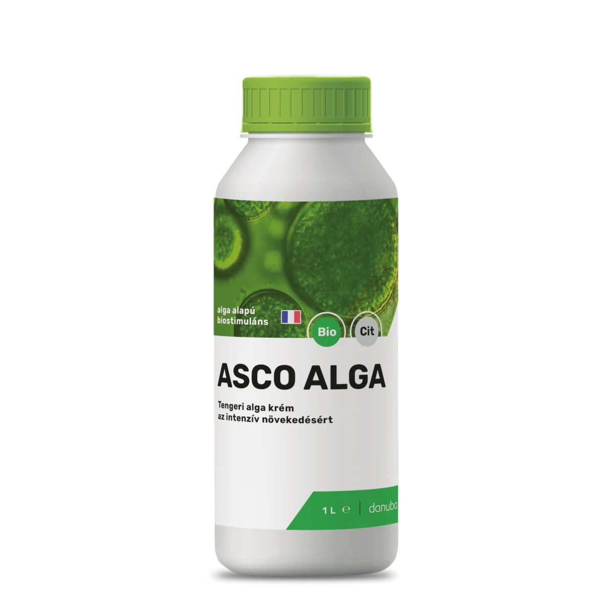 Asco Alga