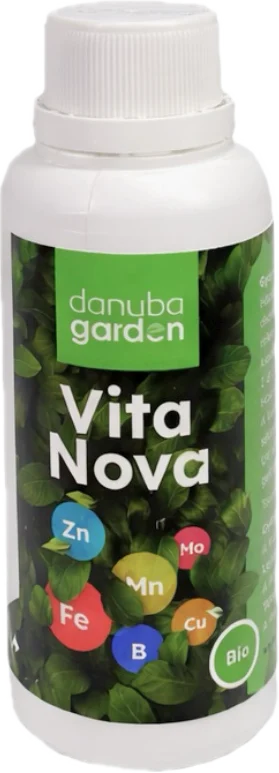 Vita Nova